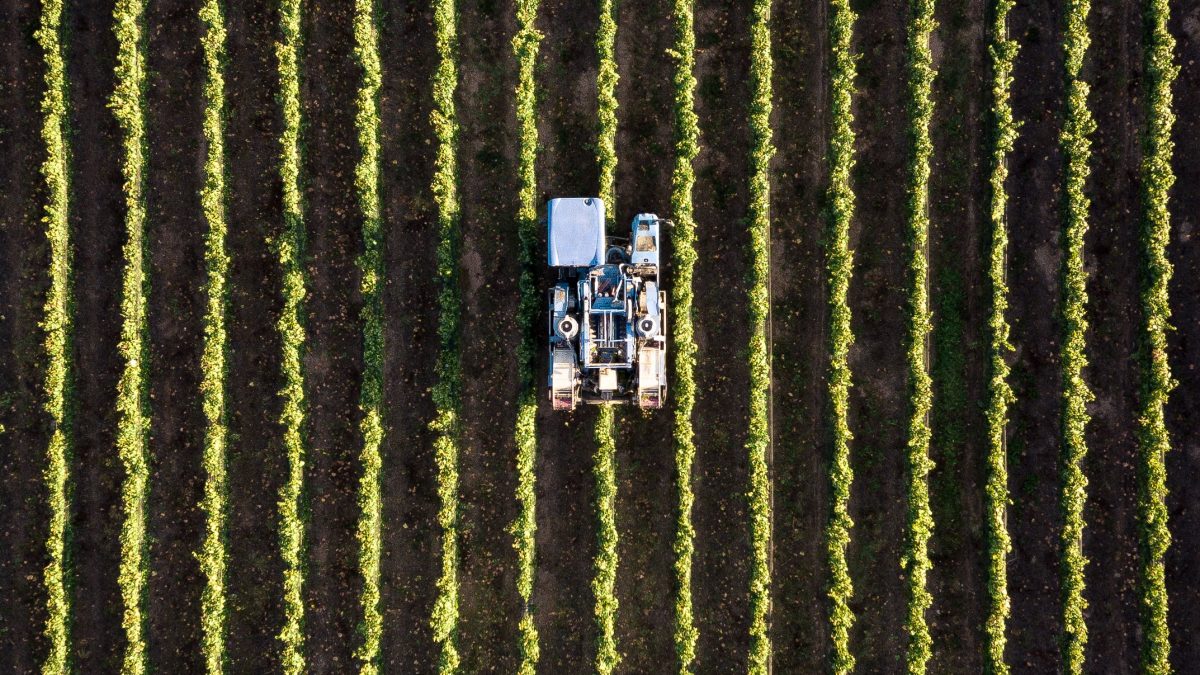 Transitions in agri-food systems